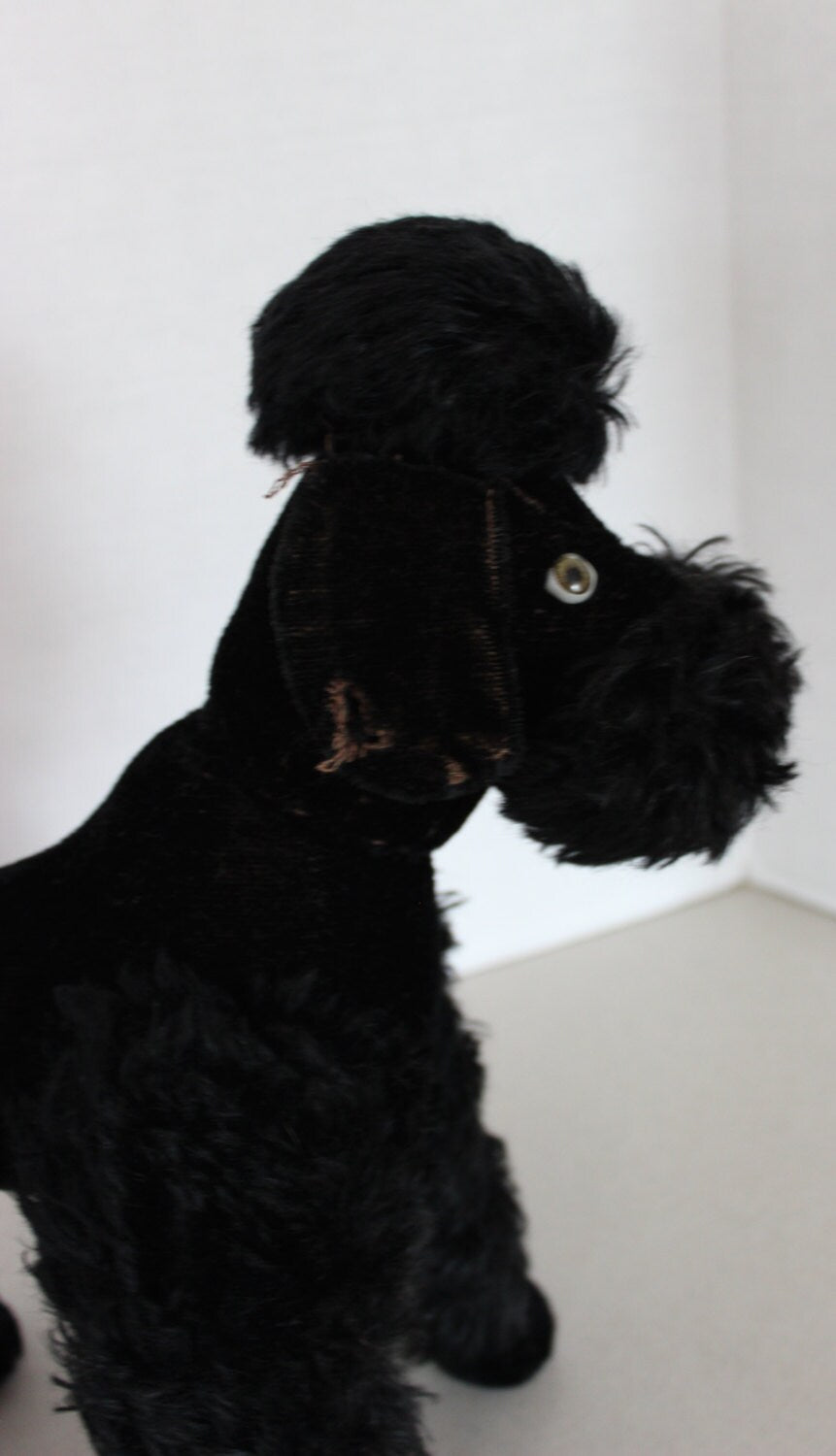 Fully Jointed Large 1940's Steiff Like Black Mohair Poodle Dog with Glass Eyes  13" Long