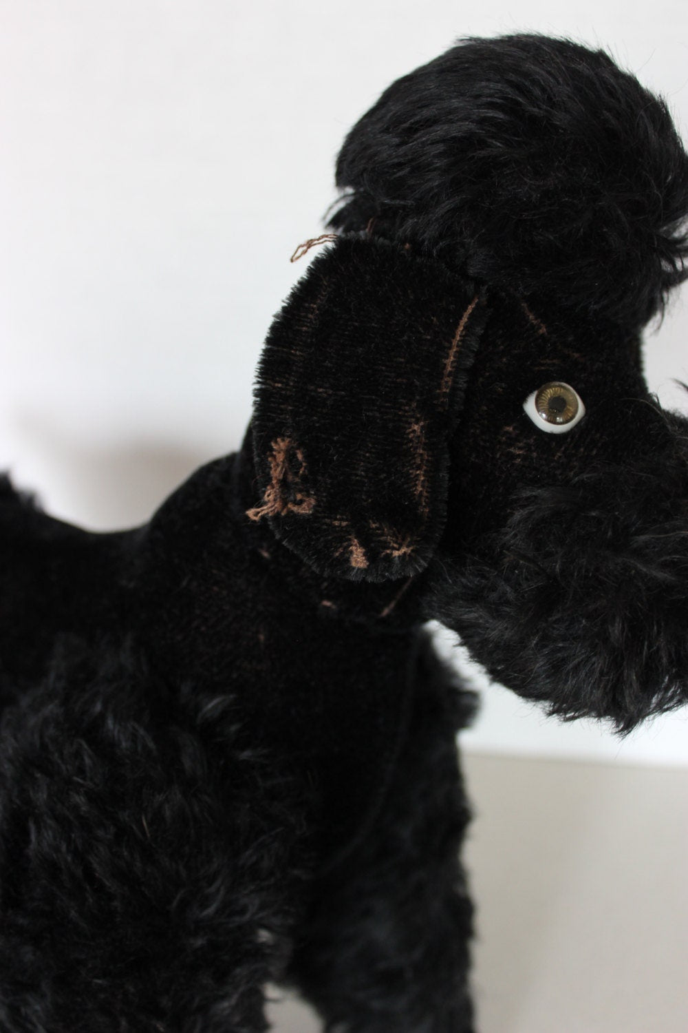 Fully Jointed Large 1940's Steiff Like Black Mohair Poodle Dog with Glass Eyes  13" Long