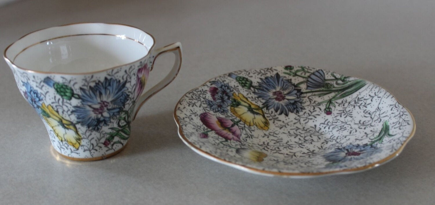 Unique Rosina Tea Cup and Saucer Floral Pattern with Poppies