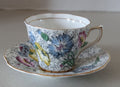 Unique Rosina Tea Cup and Saucer Floral Pattern with Poppies