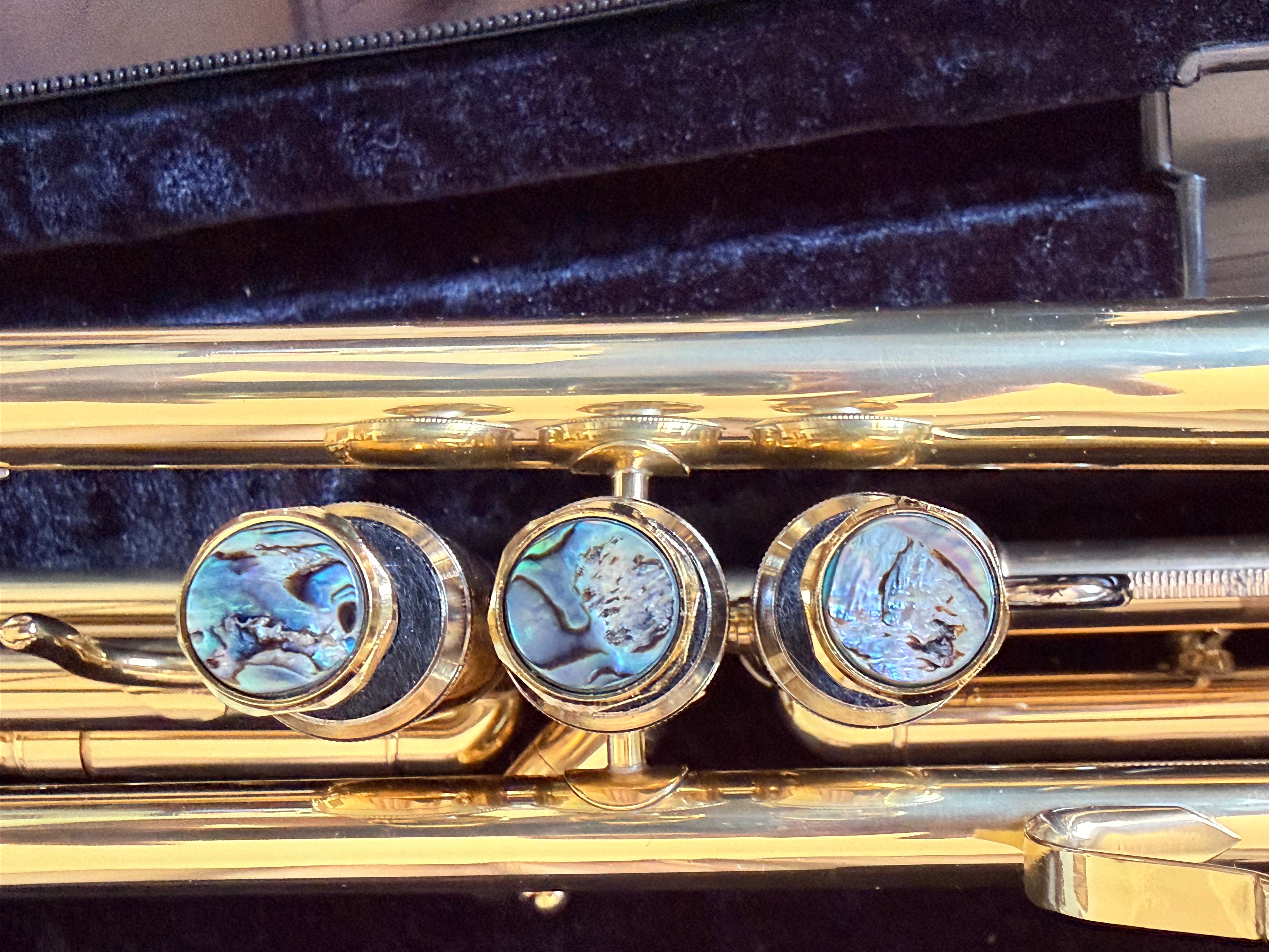 Brand New Easter ETR-380 Student Trumpet with Case