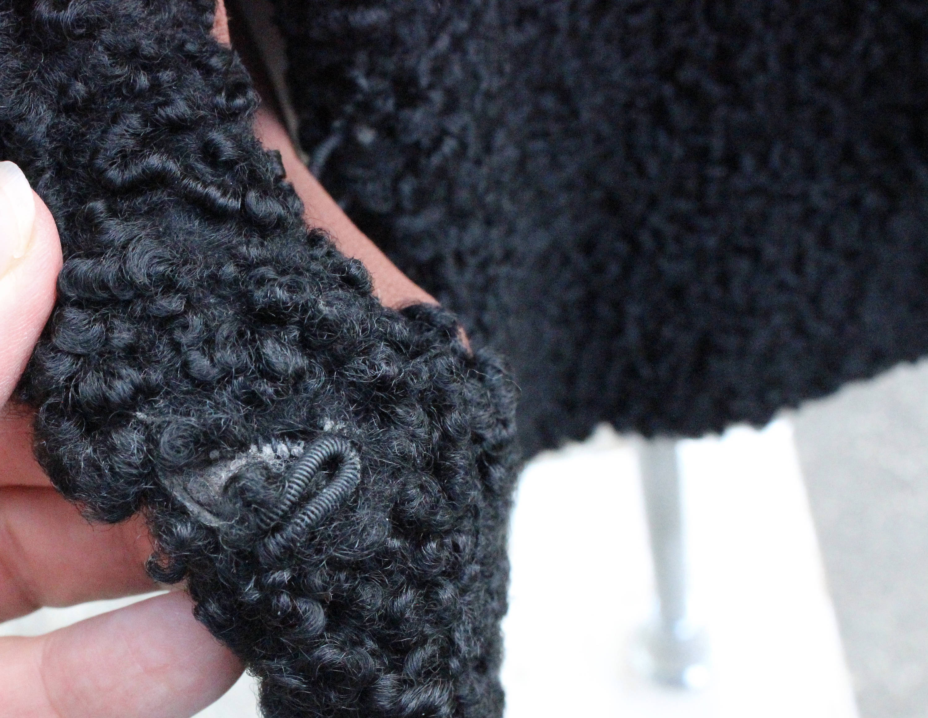 Beautiful Anna Farrell Black Persian Lamb Bolero Jacket Size Large