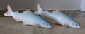 Ultra Rare Vintage 1951 "Noritake" Nippon Bone China Salmon Fish Figurines Pair