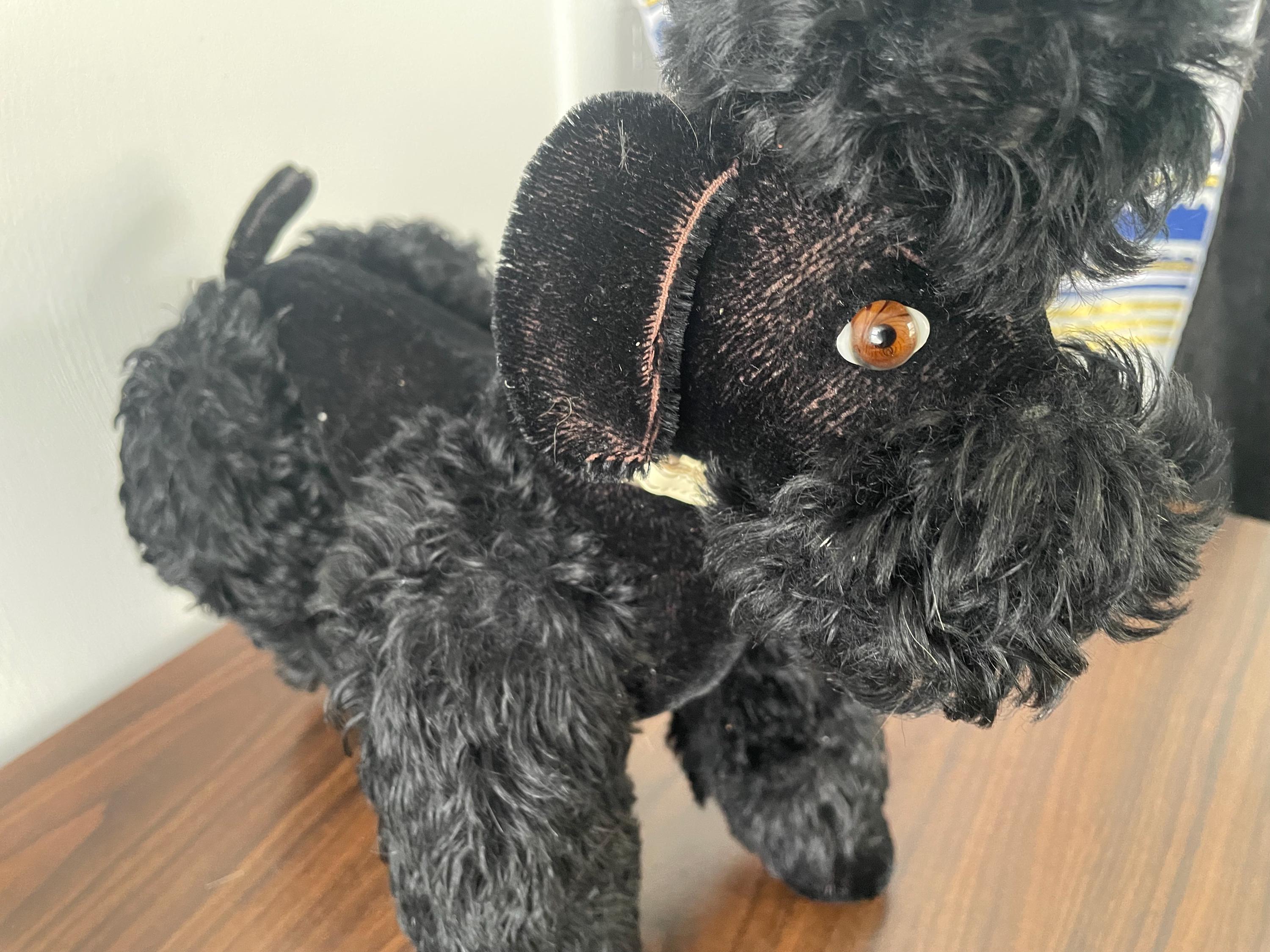 Fully Jointed Large 1940's Steiff Like Black Mohair Poodle Dog with Glass Eyes  13" Long with Rhinestone Studded Collar