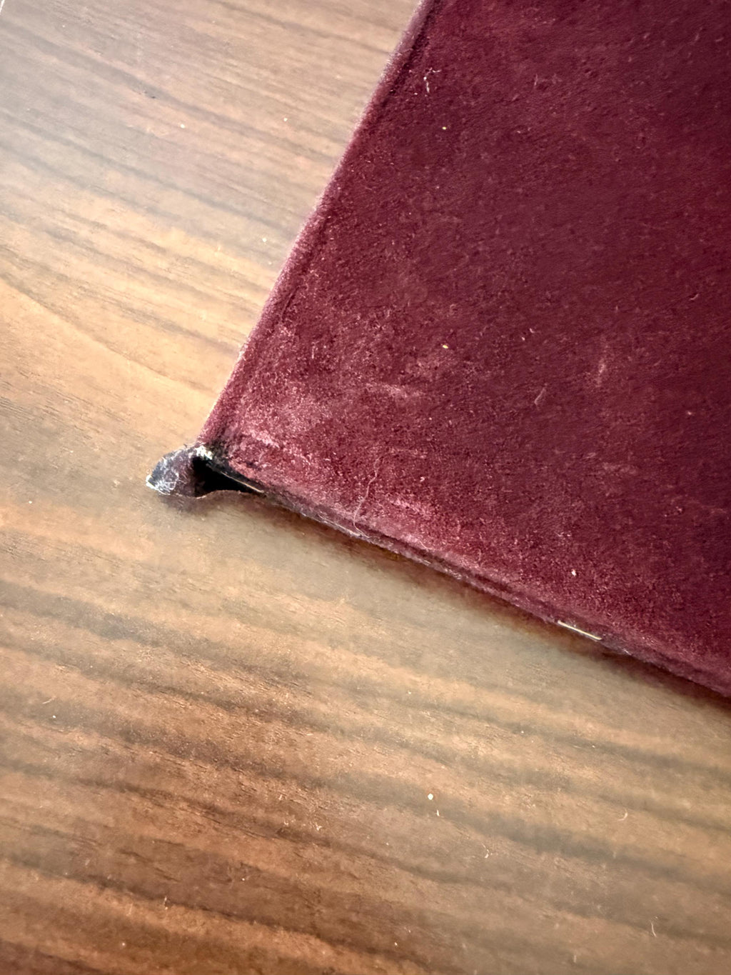 Beautiful Vintage Hand Painted Native American Eagle Landing Picture on Black Velvet 19 1/2 X 16