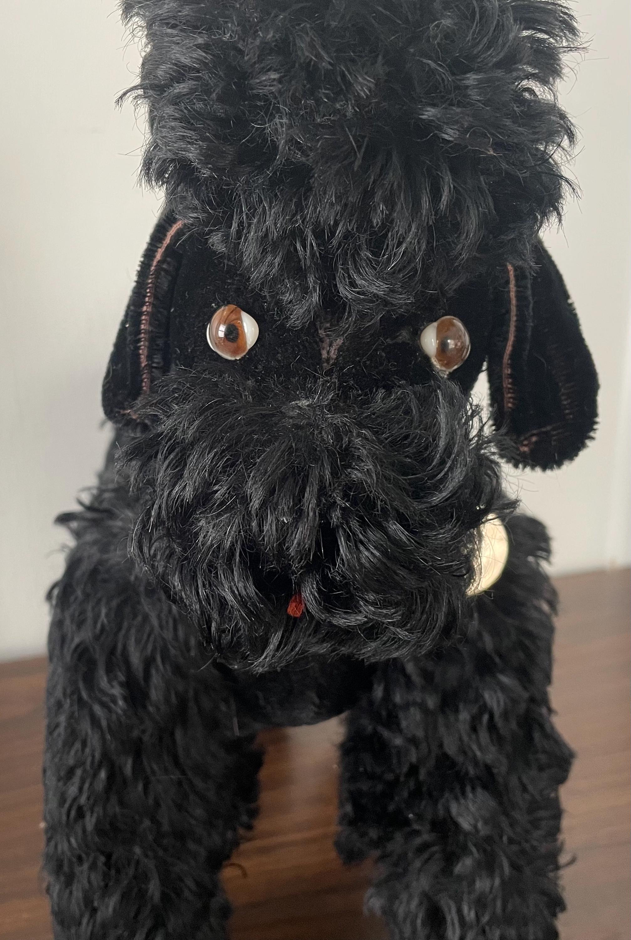 Fully Jointed Large 1940's Steiff Like Black Mohair Poodle Dog with Glass Eyes  13" Long with Rhinestone Studded Collar